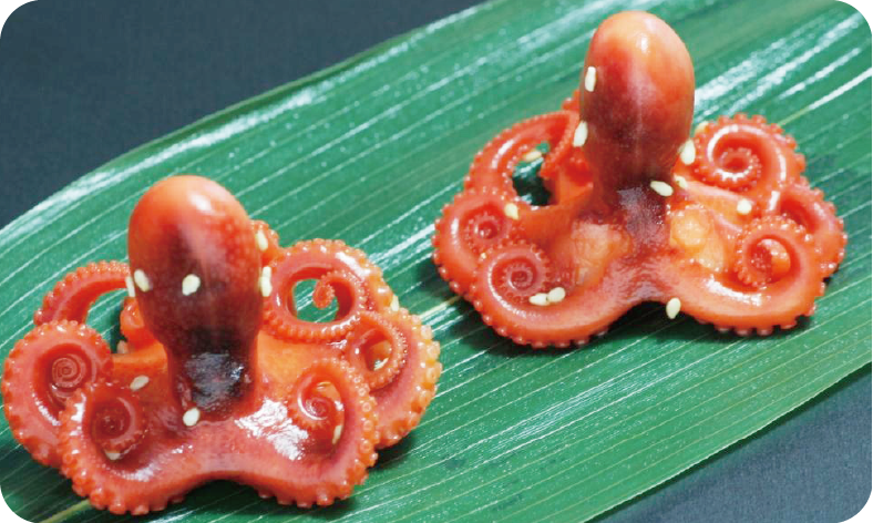 中华小章鱼